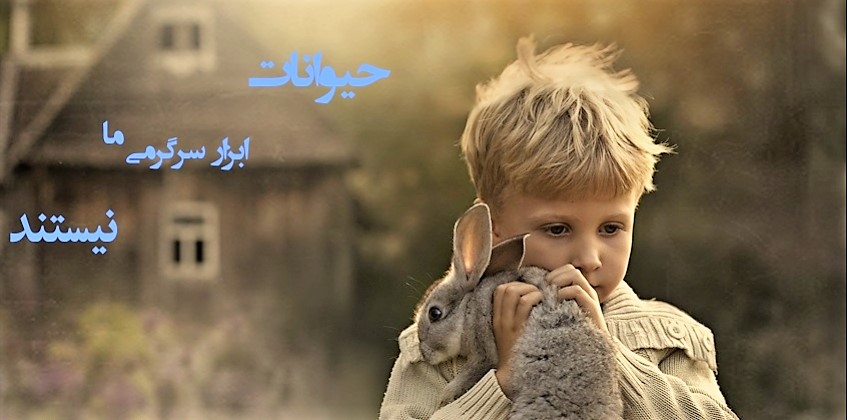 رفتارهای ما با حیوانات گیج‌کننده و متعارض‌اند