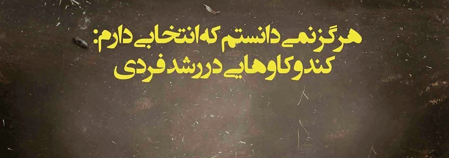 هرگز نمی‌دانستم که انتخابی دارم: کندوکاوهایی در رشد فردی