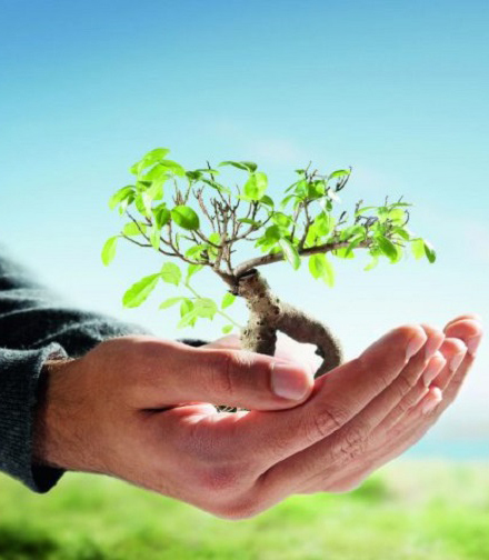 فرهنگ وقف در احیای جامعه