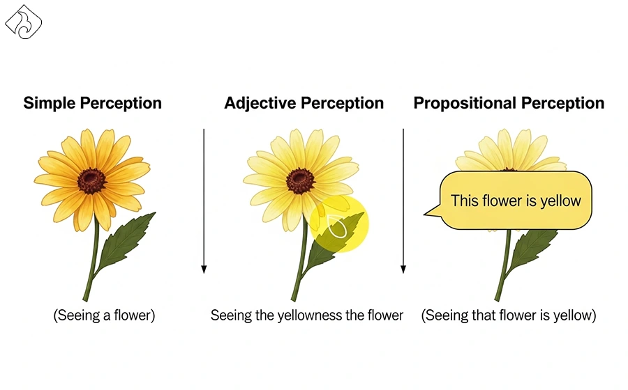 انواع ادراک از نظر آئودی