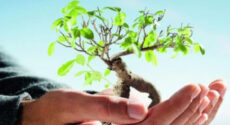 فرهنگ وقف در احیای جامعه