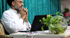 آیا حیوانات فاقد عقل هستند؟
