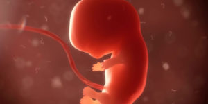مادرِ این بچه کیه؟! | بررسی اخلاقیِ تولید جنین مصنوعی