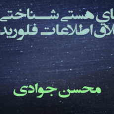 پایه‌های هستی‌شناختی نظریه اخلاق اطلاعات فلوریدی