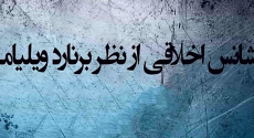 شانس اخلاقی از نظر برنارد ویلیامز