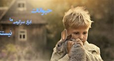 رفتارهای ما با حیوانات گیج‌کننده و متعارض‌اند