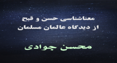 معناشناسی حسن و قبح از دیدگاه عالمان مسلمان