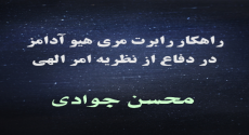راهکار رابرت مری هیو آدامز در دفاع از نظریه امر الهی
