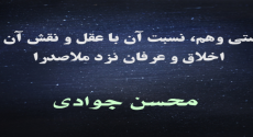 چیستی وهم، نسبت آن با عقل و نقش آن در اخلاق و عرفان نزد ملاصدرا