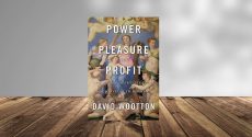 معرفی کتاب «قدرت، لذت، منفعت (Power, Pleasure, and Profit)»
